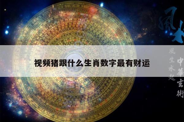 视频猪跟什么生肖数字最有财运