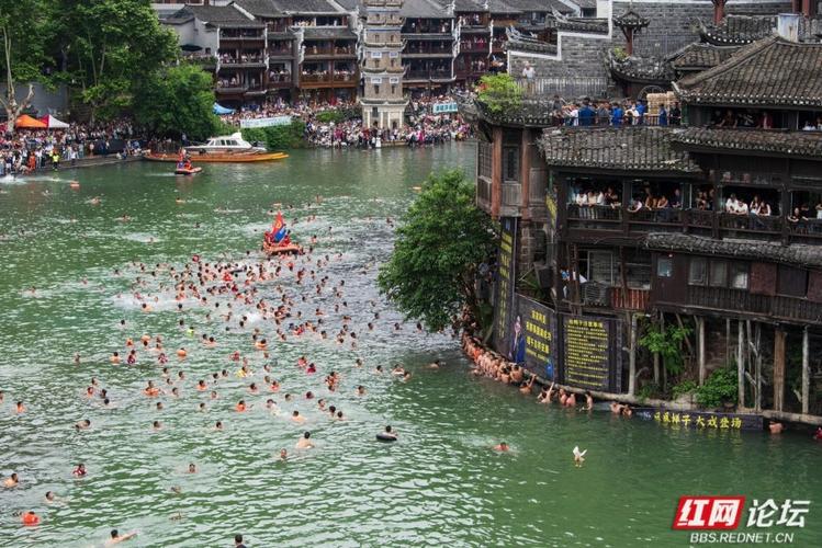 凤凰古城百人抢鸭子,凤凰古城百人抢鸭子 太精彩了