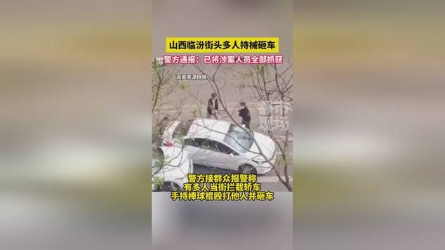 女子持械打砸多辆车,女子持械打砸多辆车视频