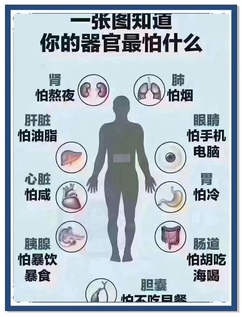 睡眠不足者攻击性强,睡眠不足伤什么器官