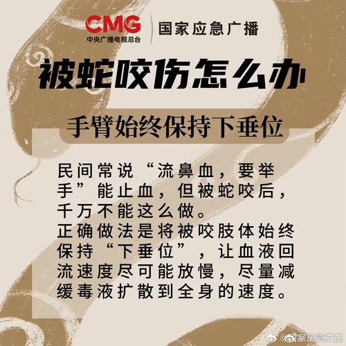 被蛇咬两年仍后遗症,被蛇咬了几年后身体有毒素吗