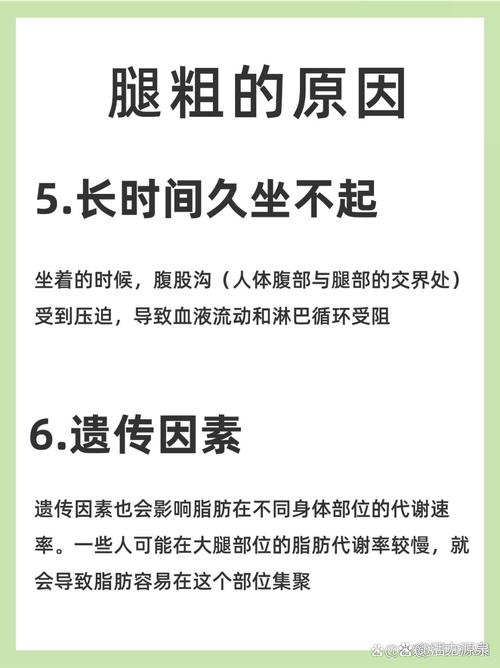 腿粗屁股大者易长寿,腿粗屁股大长寿吗